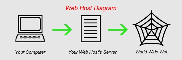 what is a web host